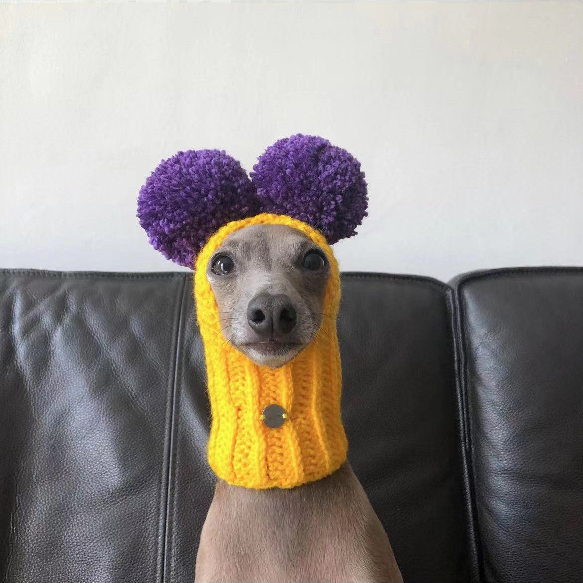 Adorable Hand-Woven Italian Greyhound Hat with Two Pom-Poms | Pet Hats Collection